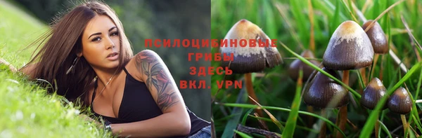 марки nbome Алексеевка