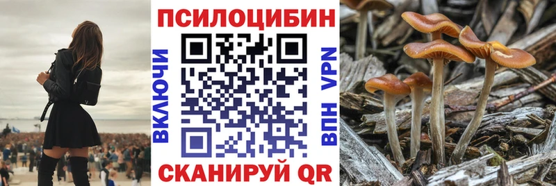 Псилоцибиновые грибы мицелий  Купить закладки  Миллерово 