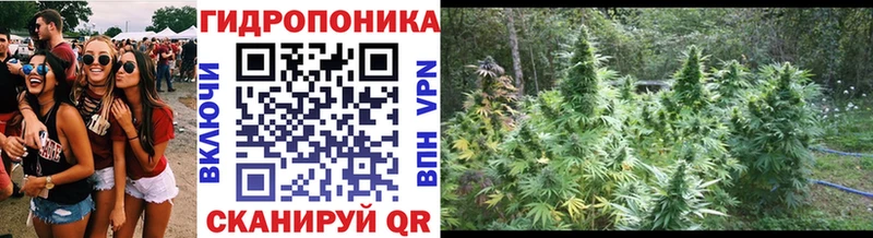 Бошки Шишки конопля Купить где Миллерово